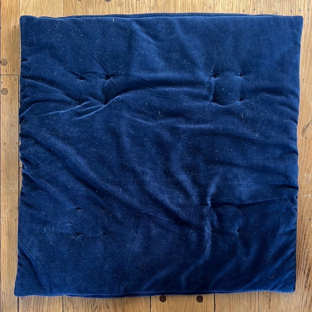 Pottery Barn Blue Euro Pillow Sham